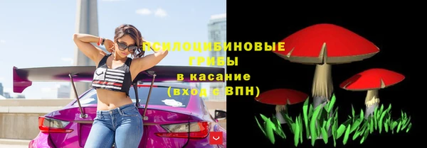 твердый Алзамай