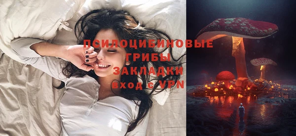 хмурый Алексеевка