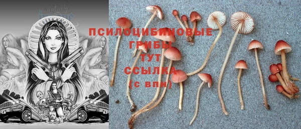 хмурый Алексеевка