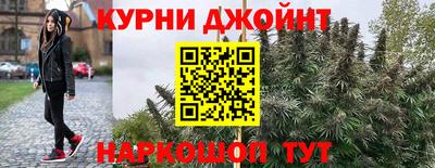 стаф Гусь-Хрустальный