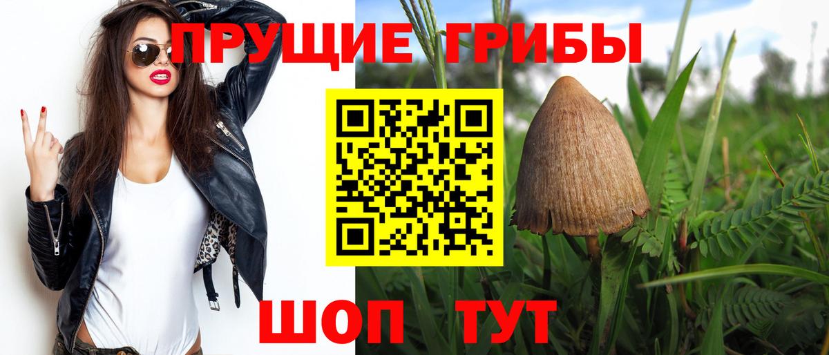 Галлюциногенные грибы Psilocybine cubensis  Вход с VPN  Дубна 