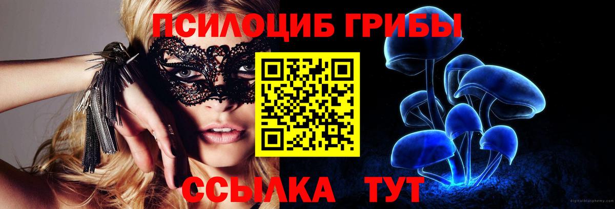 Галлюциногенные грибы GOLDEN TEACHER Дубна